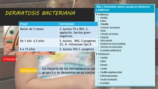 DERMATOSIS BACTERIANA
ETIOLOGÍA
- S. aureus, S. epidermidis y S. saprophyticus.
- El S. aureus es el patógeno de mayor importancia en las infecciones
estafilocócicas.
- El S. epidermidis constituye parte de la flora cutánea normal y tiene un
papel oportunista cada vez más importante en las infecciones de pacientes
hospitalizados.
Estafilococos
Estreptococos
- La mayoría de los estreptococos patógenos para el hombre pertenece al
grupo A y se denomina en su conjunto S. pyogenes.
EDAD PATOGENO
Menor de 3 meses S. Aureus 70 a 90%, S.
agalactie, bacilos gram
negativos.
De 1 año a 5 años S. Aureus 84%, S pyogenes
2%, H. influenzae tipo B
6 a 15 aňos S. Aureus 76% S. pyogenes
 