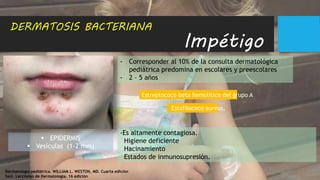 Dermatología pediátrica. WILLIAM L. WESTON, MD. Cuarta edición
Saúl. Lecciones de Dermatología. 16 edición
 EPIDERMIS
 Vesículas (1-2 mm)
DERMATOSIS BACTERIANA
Impétigo
- Corresponder al 10% de la consulta dermatológica
pediátrica predomina en escolares y preescolares
- 2 – 5 años
Estreptococo beta hemolítico del grupo A
Estafilococo aureus,
-Es altamente contagiosa.
Higiene deficiente
Hacinamiento
Estados de inmunosupresión.
 