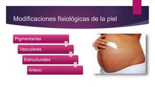 Modificaciones fisiológicas de la piel
Pigmentarias
Vasculares
Estructurales
Anexo
 