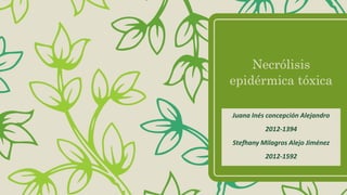 Necrólisis
epidérmica tóxica
Juana Inés concepción Alejandro
2012-1394
Stefhany Milagros Alejo Jiménez
2012-1592
 