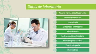 Datos de laboratorio
Anemia normocítica hipocrómica
Hemoconcentración
Leucocitosis
Linfocitosis o linfopenia
Hiponatremía
Sedimentación eritrocitaria
Deshidrogenasa láctica
Trombocitopenia
Hierro sérico
 