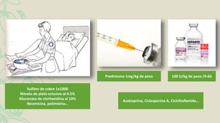 Sulfato de cobre 1x1000
Nitrato de plata oclusivo al 0.5%
Gluconato de clorhexidina al 10%
Neomicina, polimixina…
Prednisona 1mg/kg de peso 100 U/kg de peso /4-6h
Azatioprina, Ciclosporina A, Ciclofosfamida…
 
