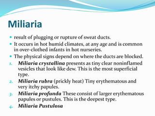 Miliaria
 result of plugging or rupture of sweat ducts.
 It occurs in hot humid climates, at any age and is common
in over-clothed infants in hot nurseries.
 The physical signs depend on where the ducts are blocked.
1. Miliaria crystallina presents as tiny clear noninflamed
vesicles that look like dew. This is the most superficial
type.
2. Miliaria rubra (prickly heat) Tiny erythematous and
very itchy papules.
3. Miliaria profunda These consist of larger erythematous
papules or pustules. This is the deepest type.
4. Miliaria Pustulosa
 