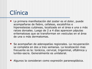 Clínica
   La primera manifestación del zoster es el dolor, puede
    acompañarse de fiebre, cefaleas, escalofríos e
    hiperestesias cutáneas, localizado en el área e una o más
    raíces dorsales. Luego de 2 a 4 días aparecen pápulas
    eritematosas que se transforman en vesículas en el área
    de una o más dermatomas.

   Se acompañan de adenopatías regionales. La recuperación
    se completa en dos a tres semanas. La localización mas
    frecuente es la: torácica, cervical, trigeminal, oftálmica y
    lumbo-sacra. Generalmente es unilateral.

   Algunos la consideran como expresión paraneoplásica.
 