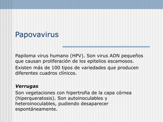 Papovavirus

Papiloma virus humano (HPV). Son virus ADN pequeños
que causan proliferación de los epitelios escamosos.
Existen más de 100 tipos de variedades que producen
diferentes cuadros clínicos.

Verrugas
Son vegetaciones con hipertrofia de la capa córnea
(hiperqueratosis). Son autoinoculables y
heteroinoculables, pudiendo desaparecer
espontáneamente.
 