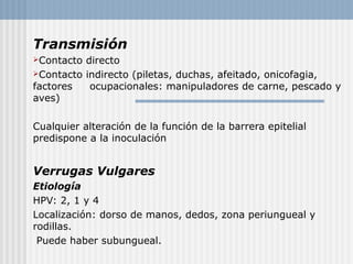 Transmisión
Contacto directo
Contacto indirecto (piletas, duchas, afeitado, onicofagia,
factores   ocupacionales: manipuladores de carne, pescado y
aves)

Cualquier alteración de la función de la barrera epitelial
predispone a la inoculación


Verrugas Vulgares
Etiología
HPV: 2, 1 y 4
Localización: dorso de manos, dedos, zona periungueal y
rodillas.
 Puede haber subungueal.
 
