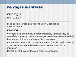 Verrugas plantares

Etiología
HPV: 2, 1 y 4

Localización: áreas de presión: talón y cabeza de
metatarsianos.
Clínica
Verrugosidad endofítica, hiperqueratósica, redondeada, de
superficie rugosa y con puntos negros (capilares trombosados).
Pueden ser únicas o múltiples. Son dolorosas.
Aumenta el dolor a la compresión lateral (por la papilomatosis).
Si se presenta una al lado de la otra, se denominan “en
mosaico”.
Del 30 al 40% presentan regresión espontánea.
 