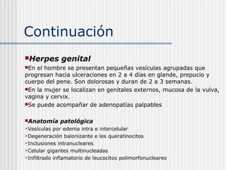 Continuación
Herpes       genital
En el hombre se presentan pequeñas vesículas agrupadas que
progresan hacia ulceraciones en 2 a 4 días en glande, prepucio y
cuerpo del pene. Son dolorosas y duran de 2 a 3 semanas.
En la mujer se localizan en genitales externos, mucosa de la vulva,
vagina y cervix.
Se puede acompañar de adenopatías palpables


Anatomía     patológica
Vesículas  por edema intra e intercelular
Degeneración balonizante e los queratinocitos
Inclusiones intranucleares
Celular gigantes multinucleadas
Infiltrado inflamatorio de leucocitos polimorfonucleares
 
