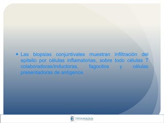  Las biopsias conjuntivales muestran infiltración del
epitelio por células inflamatorias, sobre todo células T
colaboradoras/inductoras, fagocitos y células
presentadoras de antígenos
 