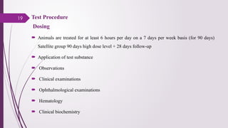 19 Test Procedure
Dosing
 Animals are treated for at least 6 hours per day on a 7 days per week basis (for 90 days)
Satellite group 90 days high dose level + 28 days follow-up
 Application of test substance
 Observations
 Clinical examinations
 Ophthalmological examinations
 Hematology
 Clinical biochemistry
 