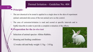 31
 Principle-
• The test chemical to be tested is applied in a single dose to the skin of experiment
animal; untreated skin areas of the test animal serve as the control.
• The area of corrosion/irritation is read and scored at specific intervals and is
further describe in order to provide a complete evaluation of the effects.
 Preparation for the in-vivo test
• Selection of animal species- Albino Rabbits.
• Housing and feeding conditions-
12 weeks old and body weight 1.5 kg – 3.0 kg
Dermal Irritation – Guideline No. 404
 