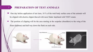 7
 One day before application of test item, 10 % of the total body surface area of the animals will
be clipped with electric clipper/shaved with razor blade/ depilated with VEET cream.
 The position of clipping will be the area starting at the scapulae (shoulders) to the wing of the
Ilium (hipbone) and half way down the flank on each side.
PREPARATION OF TEST ANIMALS
 