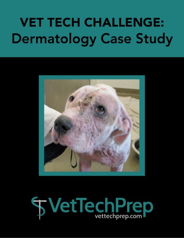Vet Tech Challenge Dermatology Case Study