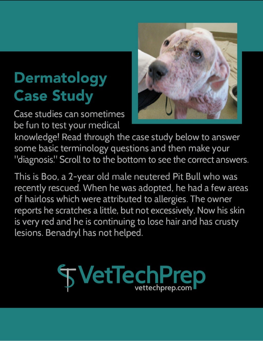 Veterinary cases and treatment pdf image