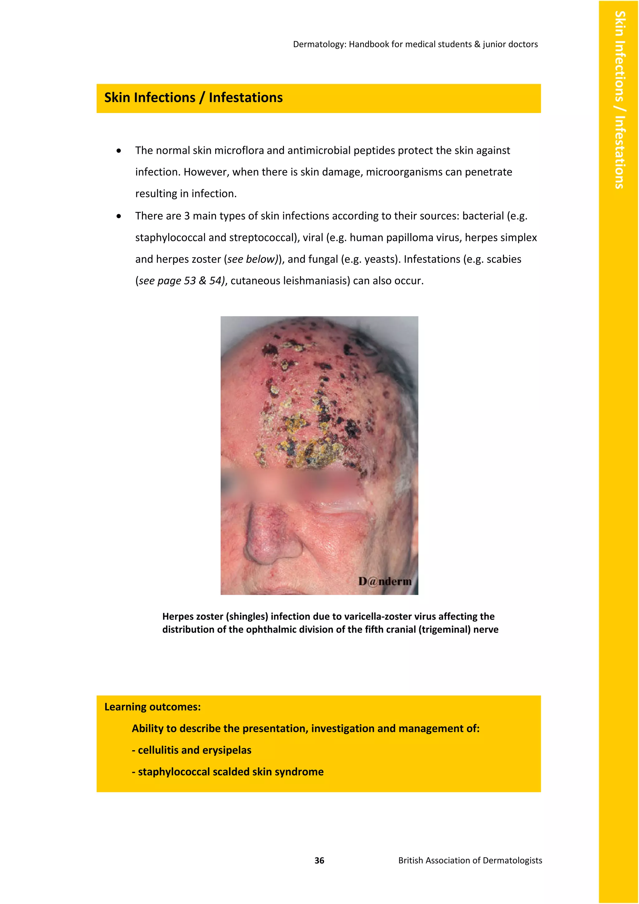 Dermatology Handbook.pdf Derm handbook for medical students and junior doctors 2010 | PDF