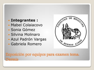 Exposición por equipos para examen tema:
Dermis
 Integrantes :
 Mabel Colaiacovo
 Sonia Gómez
 Silvina Molinaro
 Azul Padrón Vargas
 Gabriela Romero
 