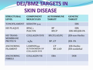 DEJ/BMZ TARGETS IN
SKIN DISEASE
STRUCTURAL
LEVEL
COMPONENT
MOLECULES
AUTOIMMUNE
TARGET
GENETIC
TARGET
TONOFILAMENT KERATIN 5,14 EBS
HD PLAQUE BPAG 1
PLECTIN
BP
BP,CP
EBS
EBS-MD,JEB-PA
HD TRANS-
MEMBRANE
PROTEI N
COLLAGEN XVII
α6β4
BP,CP,LAD,PG
BP ,CP
JEB-non-Herlitz
JEB- PA
ANCHORING
FILAMENT
LAMININ332
ECTODOMAIN OF
COLLAGEN XVII
CP
BP, LAD
JEB-Herlitz
JEB-nonlethal
ANCHORING
FIBRILS
COLLAGEN VII EBA DEB
 