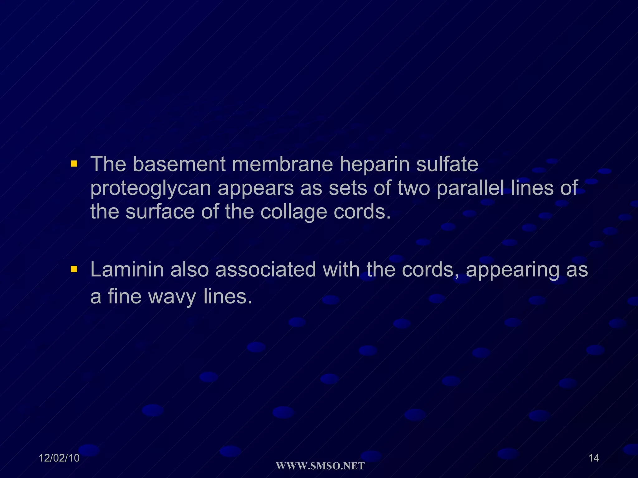 The basement membrane heparin sulfate proteoglycan appears as sets of two parallel lines of the surface of the collage cords. Laminin also associated with the cords, appearing as a fine wavy   lines. 