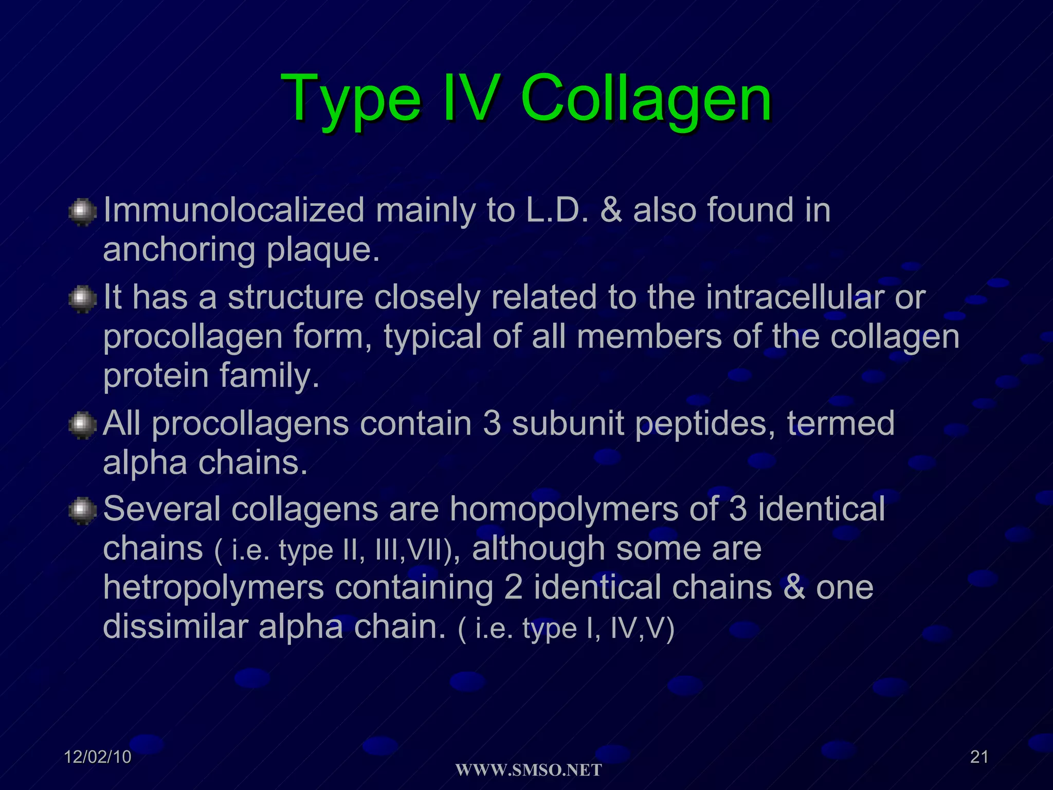 Type IV Collagen Immunolocalized mainly to L.D. & also found in anchoring plaque. It has a structure closely related to the intracellular or procollagen form, typical of all members of the collagen protein family. All procollagens contain 3 subunit peptides, termed alpha chains. Several collagens are homopolymers of 3 identical chains  ( i.e. type II, III,VII) , although some are hetropolymers containing 2 identical chains & one dissimilar alpha chain.  ( i.e. type I, IV,V) 