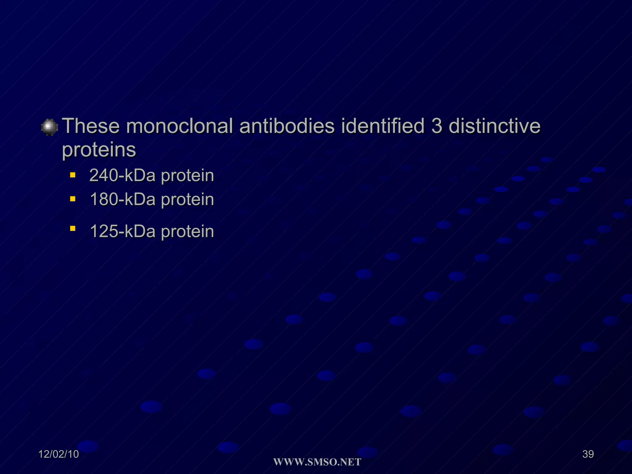 These monoclonal antibodies identified 3 distinctive proteins 240-kDa protein 180-kDa protein 125-kDa protein   