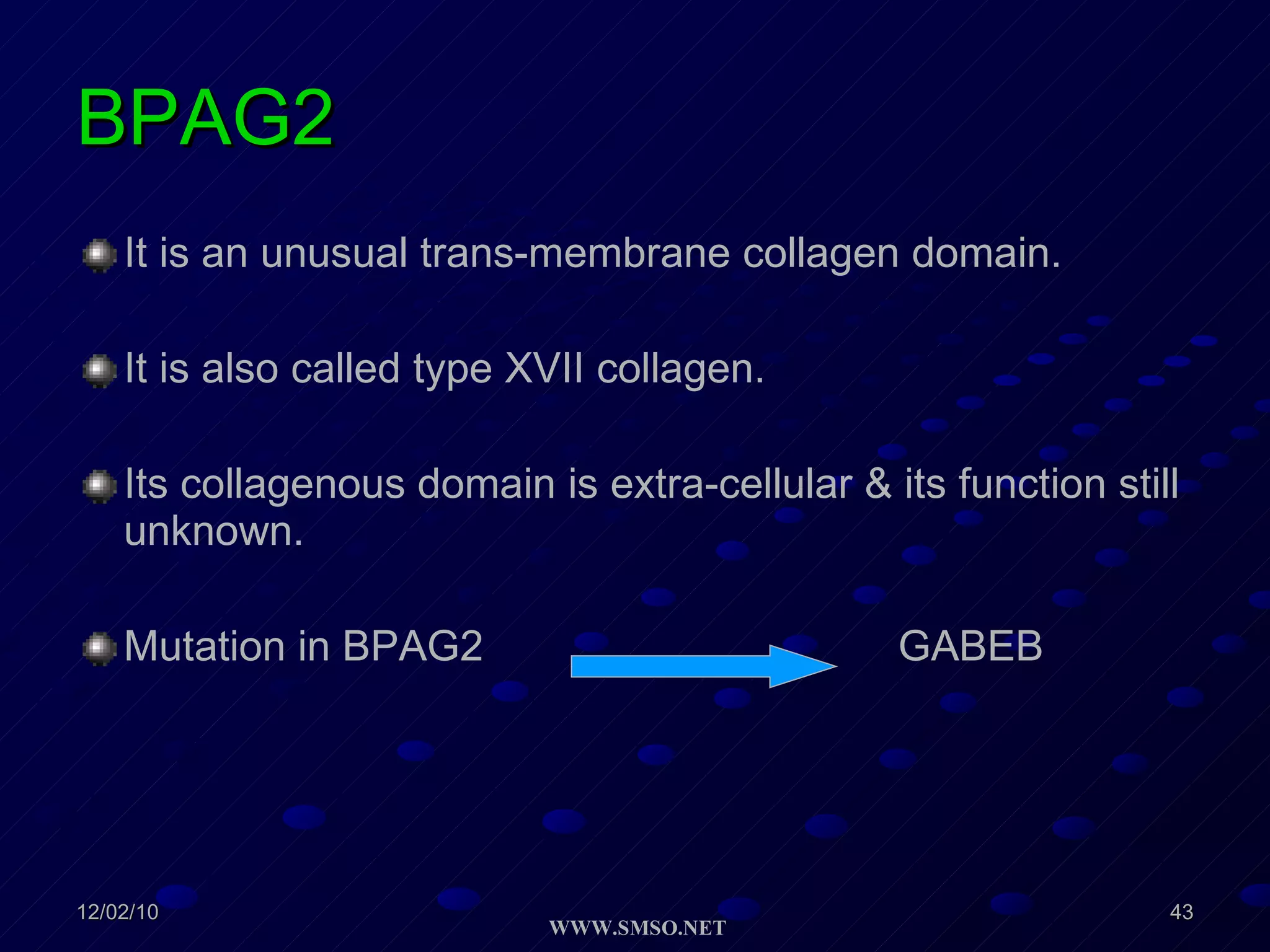 BPAG2 It is an unusual trans-membrane collagen domain. It is also called type XVII collagen. Its collagenous domain is extra-cellular & its function still unknown. Mutation in BPAG2  GABEB 