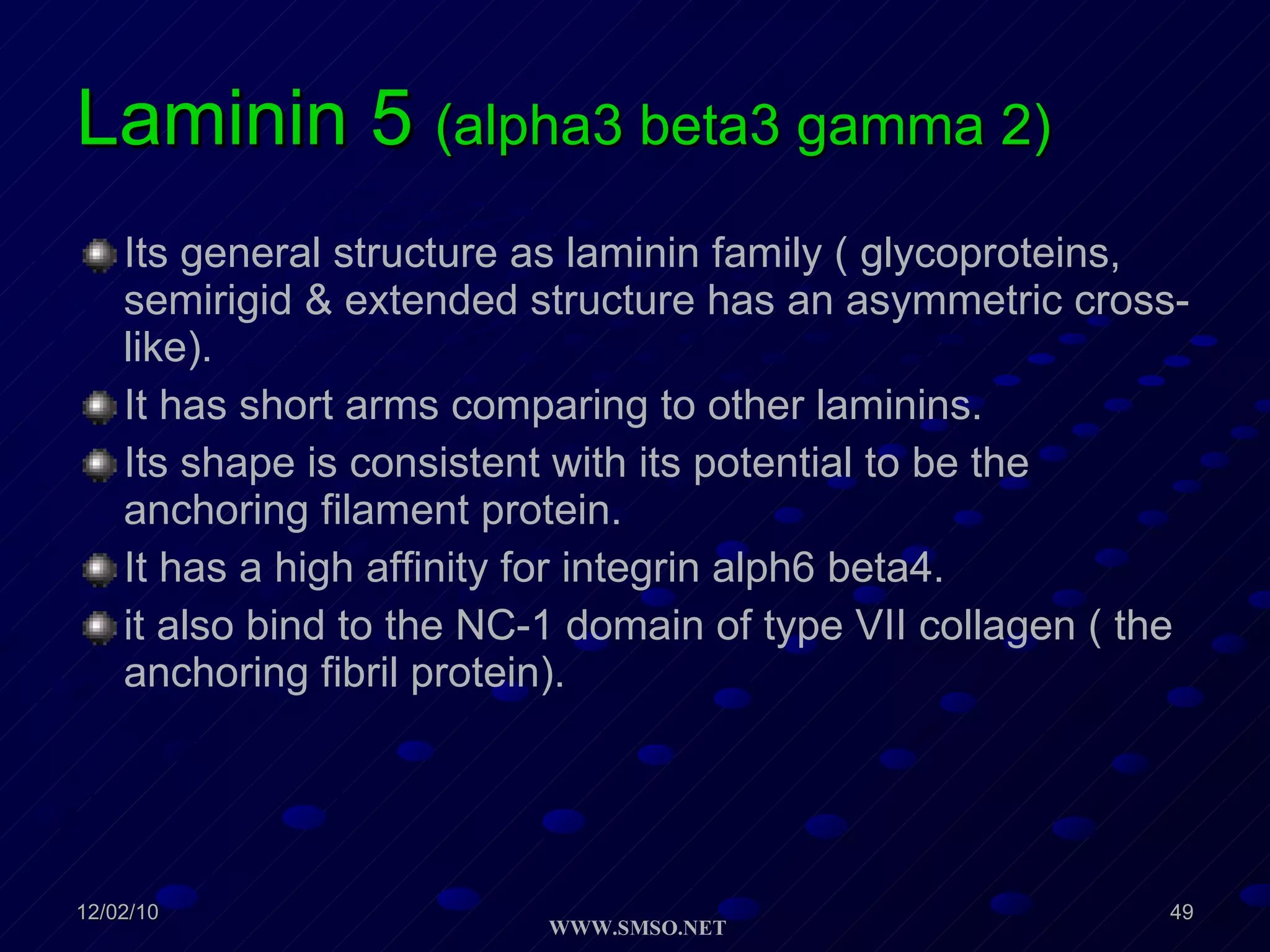Laminin 5  (alpha3 beta3 gamma 2) Its general structure as laminin family ( glycoproteins, semirigid & extended structure has an asymmetric cross-like). It has short arms comparing to other laminins. Its shape is consistent with its potential to be the anchoring filament protein. It has a high affinity for integrin alph6 beta4. it also bind to the NC-1 domain of type VII collagen ( the anchoring fibril protein). 