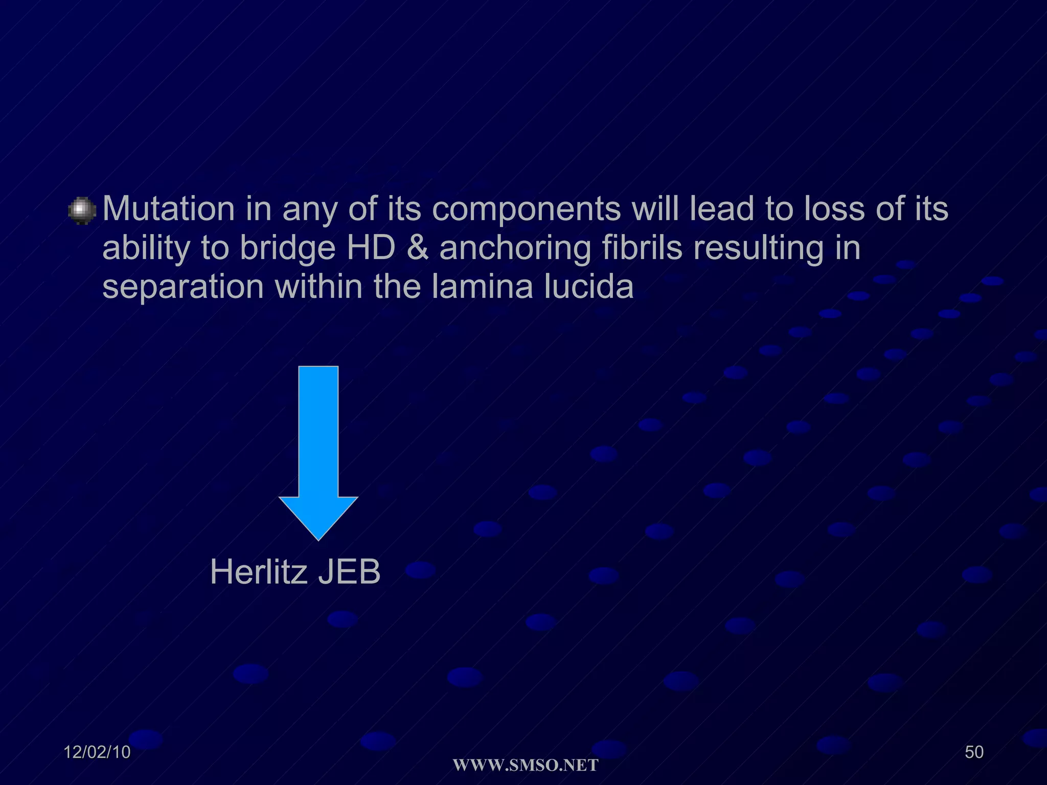 Mutation in any of its components will lead to loss of its ability to bridge HD & anchoring fibrils resulting in separation within the lamina lucida  Herlitz JEB 