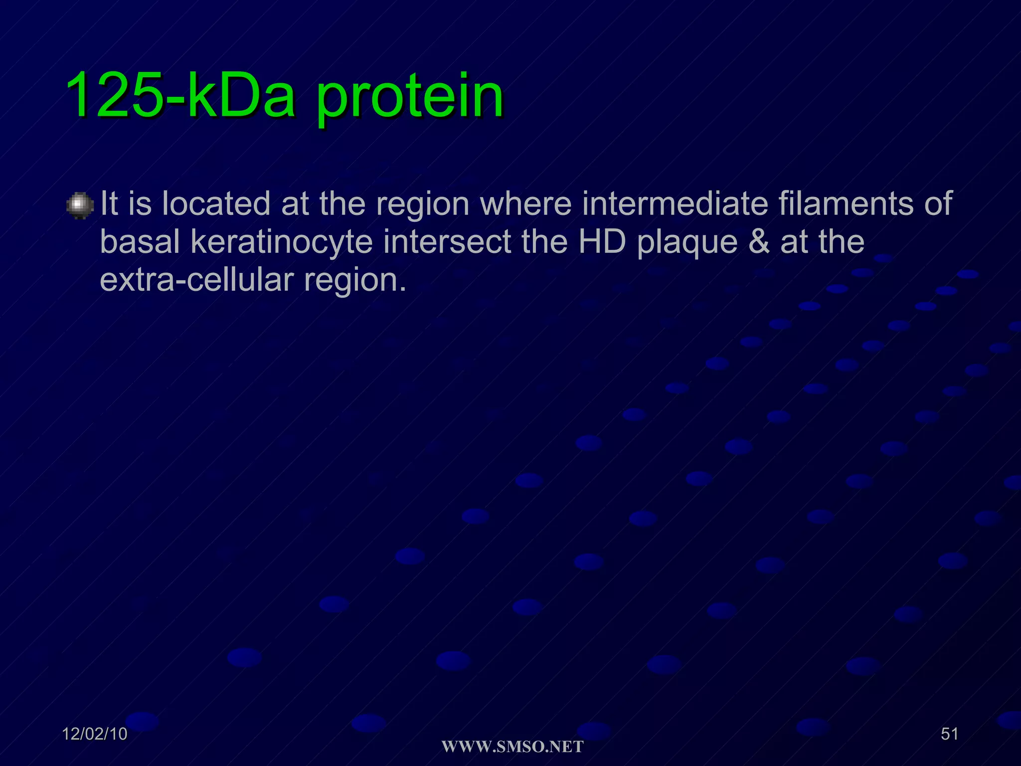 125-kDa protein It is located at the region where intermediate filaments of basal keratinocyte intersect the HD plaque & at the extra-cellular region. 