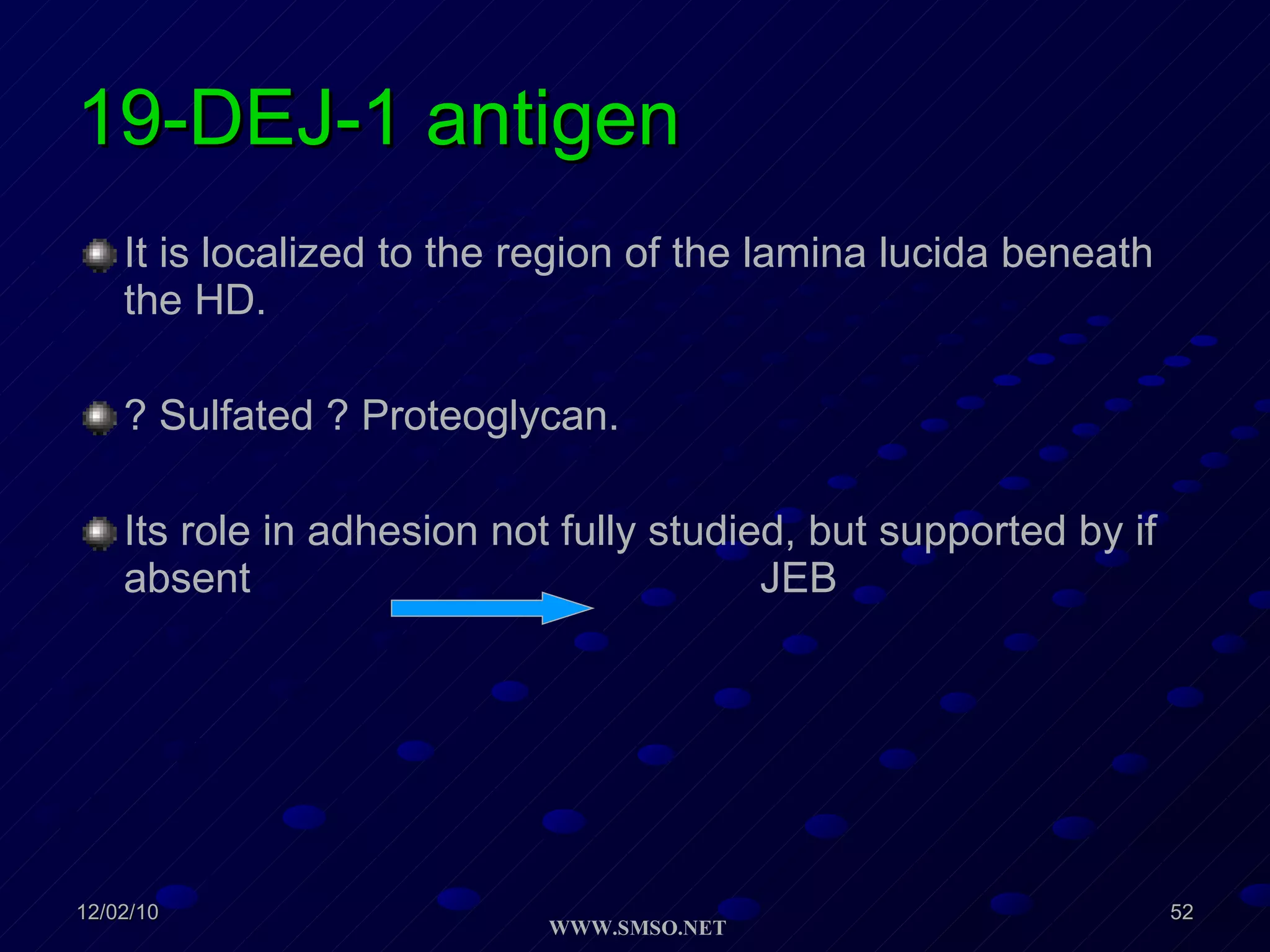 19-DEJ-1 antigen It is localized to the region of the lamina lucida beneath the HD. ? Sulfated ? Proteoglycan. Its role in adhesion not fully studied, but supported by if absent  JEB  