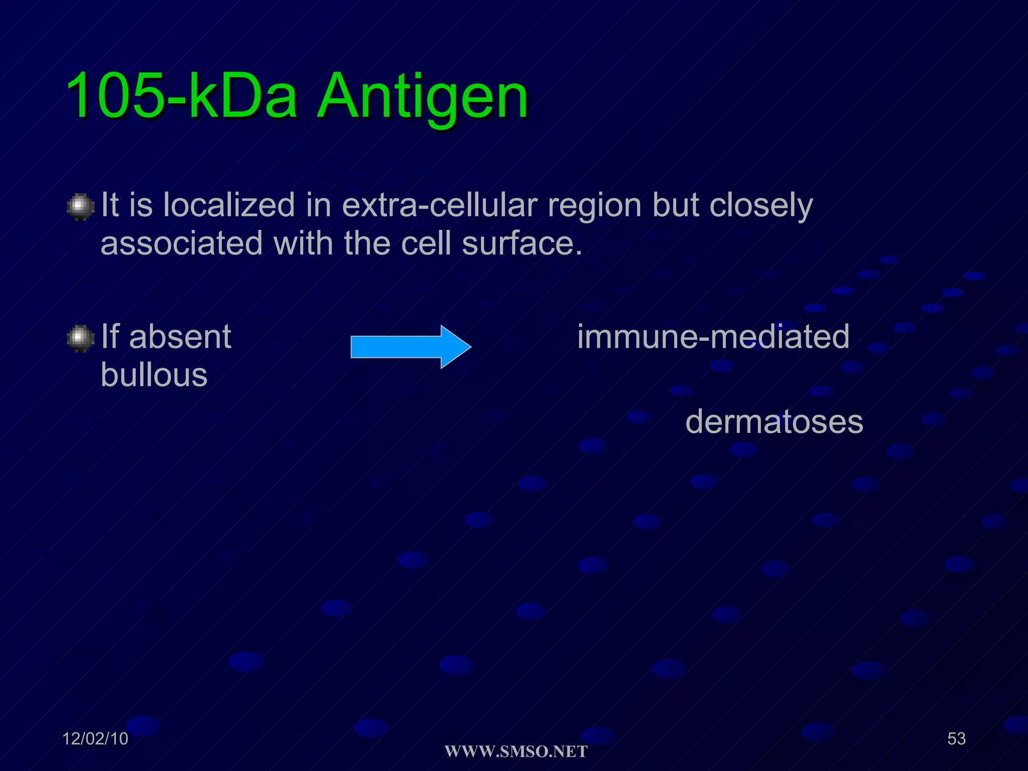 105-kDa Antigen It is localized in extra-cellular region but closely associated with the cell surface. If absent  immune-mediated bullous  dermatoses 