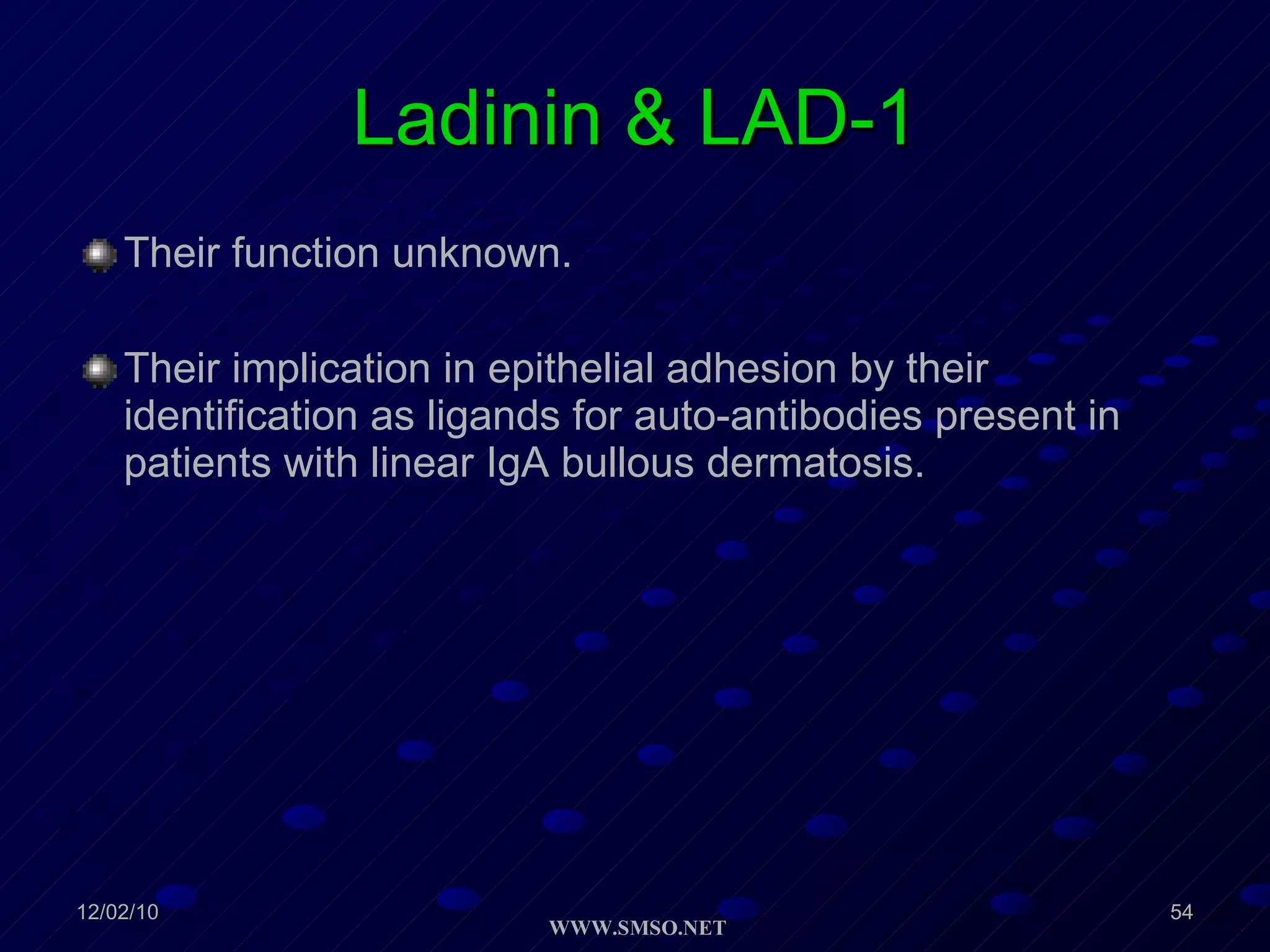 Ladinin & LAD-1 Their function unknown. Their implication in epithelial adhesion by their identification as ligands for auto-antibodies present in patients with linear IgA bullous dermatosis.  
