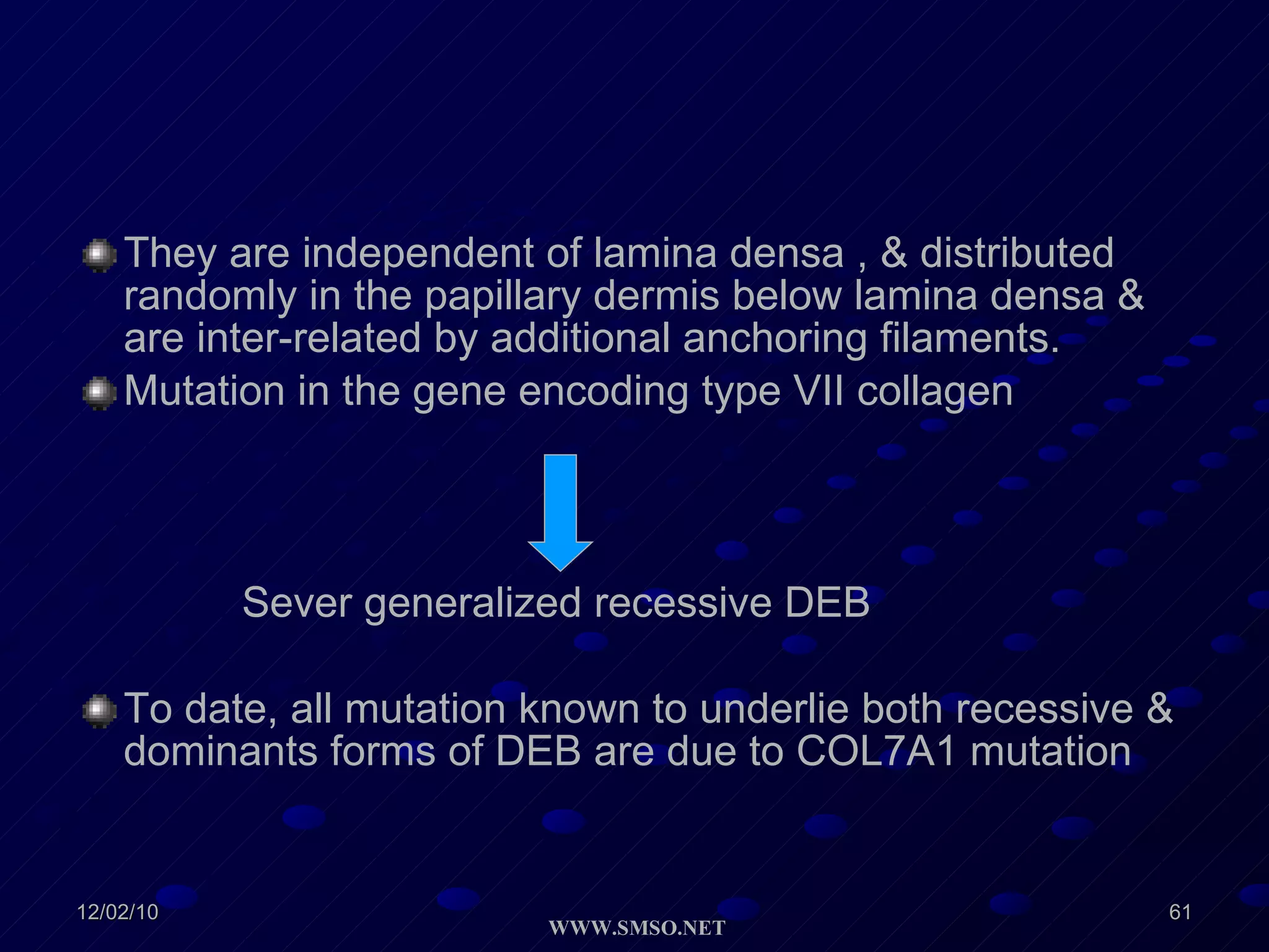 They are independent of lamina densa , & distributed randomly in the papillary dermis below lamina densa & are inter-related by additional anchoring filaments. Mutation in the gene encoding type VII collagen Sever generalized recessive DEB To date, all mutation known to underlie both recessive & dominants forms of DEB are due to COL7A1 mutation 