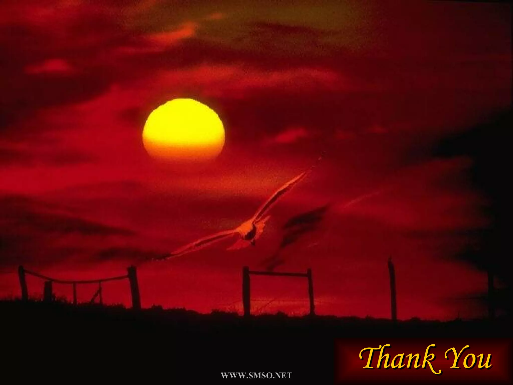 Thank You WWW.SMSO.NET 