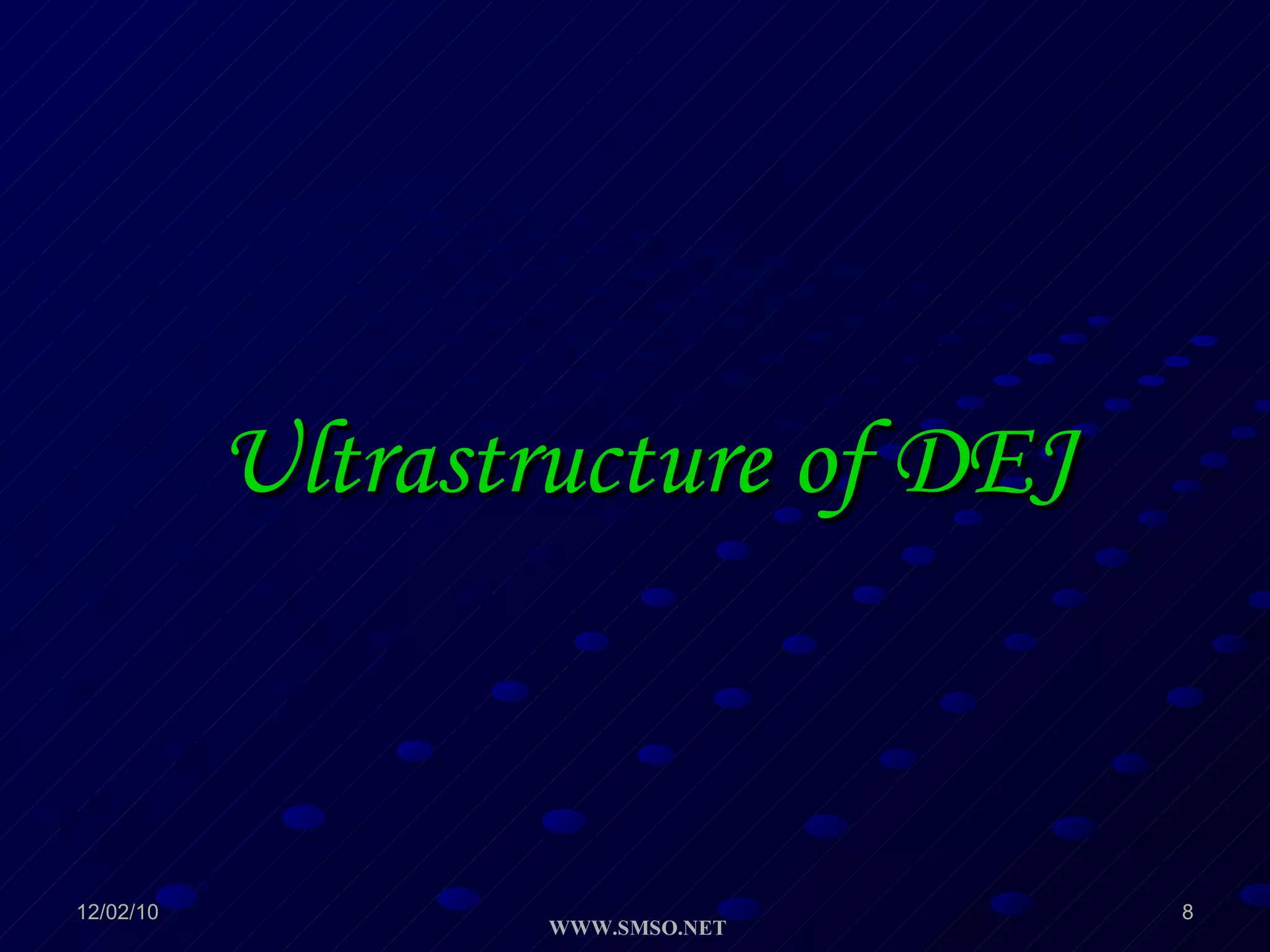 Ultrastructure of DEJ 