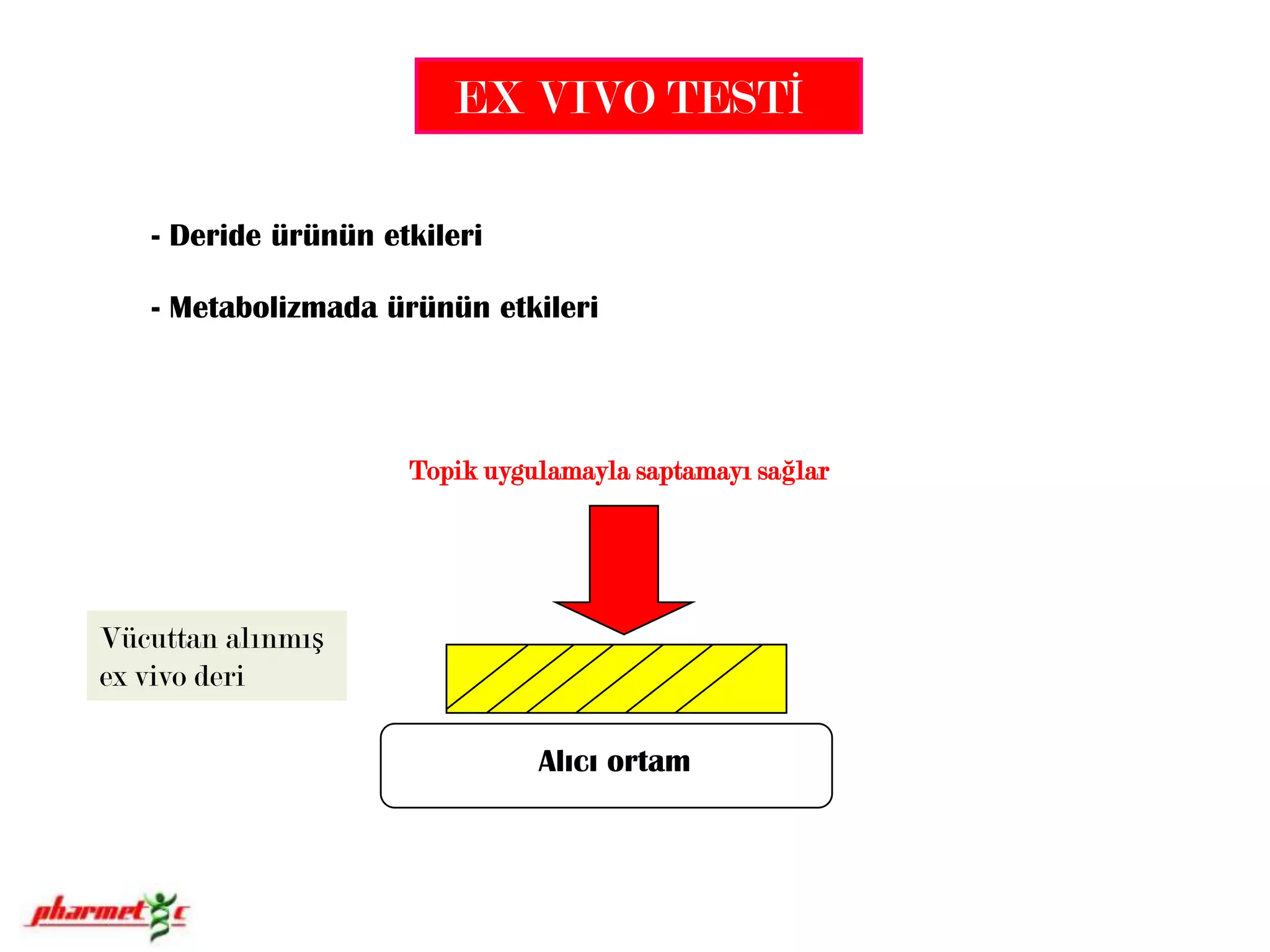 Alıcı ortamEX VIVO TESTİDeride ürünün etkileri