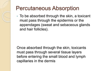 Percutaneous Absorption
• To be absorbed through the skin, a toxicant
must pass through the epidermis or the
appendages (sweat and sebaceous glands
and hair follicles).
Once absorbed through the skin, toxicants
must pass through several tissue layers
before entering the small blood and lymph
capillaries in the dermis
 