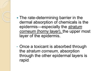  The rate-determining barrier in the
dermal absorption of chemicals is the
epidermis—especially the stratum
corneum (horny layer), the upper most
layer of the epidermis.
• Once a toxicant is absorbed through
the stratum corneum, absorption
through the other epidermal layers is
rapid.
 