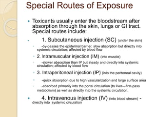 Special Routes of Exposure
 Toxicants usually enter the bloodstream after
absorption through the skin, lungs or GI tract.
Special routes include:
 1. Subcutaneous injection (SC) (under the skin)
◦ -by-passes the epidermal barrier, slow absorption but directly into
systemic circulation; affected by blood flow
◦ 2. Intramuscular injection (IM) (into muscle)
◦ -slower absorption than IP but steady and directly into systemic
circulation; affected by blood flow
◦ 3. Intraperitoneal injection (IP) (into the peritoneal cavity)
◦ -quick absorption due to high vascularization and large surface area
◦ -absorbed primarily into the portal circulation (to liver—first-pass
metabolism) as well as directly into the systemic circulation.
 4. Intravenous injection (IV) (into blood stream) -
directly into systemic circulation
 