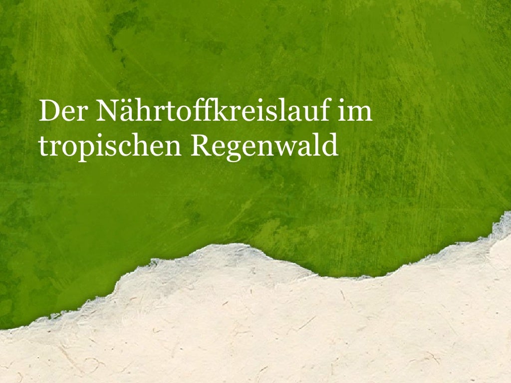 Nährstoffkreislauf Im Tropischen Regenwald Der Nährstoffkreislauf Im Regenwald