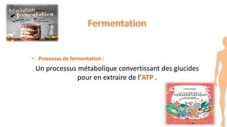 • Processus de fermentation :
Un processus métabolique convertissant des glucides
pour en extraire de l’ATP .
 