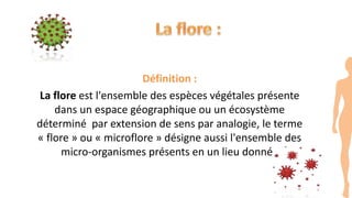Définition :
La flore est l'ensemble des espèces végétales présente
dans un espace géographique ou un écosystème
déterminé par extension de sens par analogie, le terme
« flore » ou « microflore » désigne aussi l'ensemble des
micro-organismes présents en un lieu donné .
 