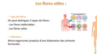 • Type des flores :
On peut distinguer 2 types de flores :
- Les flores indésirables
- Les flores utiles
• Définition :
Micro-organismes produits d’une élaboration des aliments
fermentés .
 