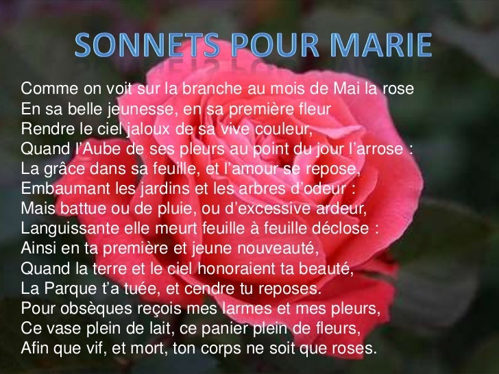 Prèsentation de ronsard réalisée par Erica Buonifacio 3 Al