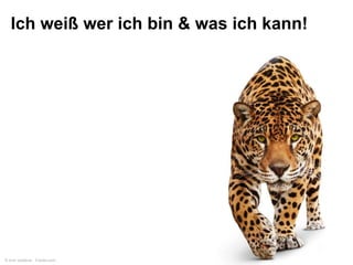 Ich weiß wer ich bin & was ich kann!

© Ana Vasileva - Fotolia.com

 