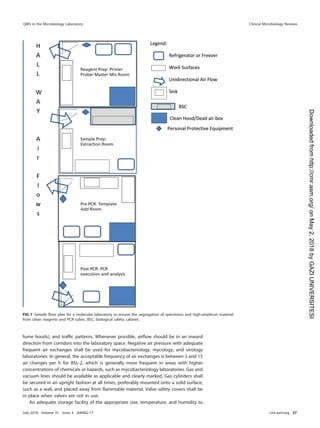 fume hoods), and trafﬁc patterns. Whenever possible, airﬂow should be in an inward
direction from corridors into the laboratory space. Negative air pressure with adequate
frequent air exchanges shall be used for mycobacteriology, mycology, and virology
laboratories. In general, the acceptable frequency of air exchanges is between 3 and 15
air changes per h for BSL-2, which is generally more frequent in areas with higher
concentrations of chemicals or hazards, such as mycobacteriology laboratories. Gas and
vacuum lines should be available as applicable and clearly marked. Gas cylinders shall
be secured in an upright fashion at all times, preferably mounted onto a solid surface,
such as a wall, and placed away from ﬂammable material. Valve safety covers shall be
in place when valves are not in use.
An adequate storage facility of the appropriate size, temperature, and humidity to
FIG 7 Sample ﬂoor plan for a molecular laboratory to ensure the segregation of specimens and high-amplicon material
from clean reagents and PCR tubes. BSC, biological safety cabinet.
QMS in the Microbiology Laboratory Clinical Microbiology Reviews
July 2018 Volume 31 Issue 3 e00062-17 cmr.asm.org 27
on
May
2,
2018
by
GAZI
UNIVERSITESI
http://cmr.asm.org/
Downloaded
from
 