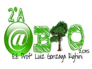 Derramamento de petróleo 2 a