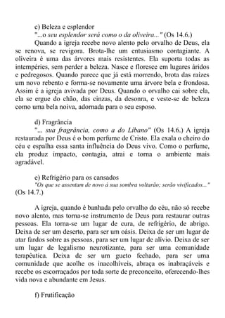c) Beleza e esplendor
"...o seu esplendor será como o da oliveira..." (Os 14.6.)
Quando a igreja recebe novo alento pelo orvalho de Deus, ela
se renova, se revigora. Brota-lhe um entusiasmo contagiante. A
oliveira é uma das árvores mais resistentes. Ela suporta todas as
intempéries, sem perder a beleza. Nasce e floresce em lugares áridos
e pedregosos. Quando parece que já está morrendo, brota das raízes
um novo rebento e forma-se novamente uma árvore bela e frondosa.
Assim é a igreja avivada por Deus. Quando o orvalho cai sobre ela,
ela se ergue do chão, das cinzas, da desonra, e veste-se de beleza
como uma bela noiva, adornada para o seu esposo.
d) Fragrância
"... sua fragrância, como a do Líbano" (Os 14.6.) A igreja
restaurada por Deus é o bom perfume de Cristo. Ela exala o cheiro do
céu e espalha essa santa influência do Deus vivo. Como o perfume,
ela produz impacto, contagia, atrai e torna o ambiente mais
agradável.
e) Refrigério para os cansados
"Os que se assentam de novo à sua sombra voltarão; serão vivificados..."
(Os 14.7.)
A igreja, quando é banhada pelo orvalho do céu, não só recebe
novo alento, mas torna-se instrumento de Deus para restaurar outras
pessoas. Ela torna-se um lugar de cura, de refrigério, de abrigo.
Deixa de ser um deserto, para ser um oásis. Deixa de ser um lugar de
atar fardos sobre as pessoas, para ser um lugar de alívio. Deixa de ser
um lugar de legalismo neurotizante, para ser uma comunidade
terapêutica. Deixa de ser um gueto fechado, para ser uma
comunidade que acolhe os inacolhíveis, abraça os inabraçáveis e
recebe os escorraçados por toda sorte de preconceito, oferecendo-lhes
vida nova e abundante em Jesus.
f) Frutificação
 