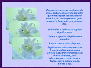 Espalhemos nossas essências de amor, perfumando a vida daqueles que nem sequer sabem admirar uma flor, ou nunca pararam  para  apreciar a beleza de uma simples flor. Se colhida e dedicada a alguém significa amor. Sejamos apenas simplesmente uma flor, Atuemos em estado de graça, Espalhemos beleza onde existe  tristeza, colhamos as dores alheias e nos transformemos em buquê de flores, para oferecermos o nosso amor a todos, com a mesma graça, beleza e cor. 