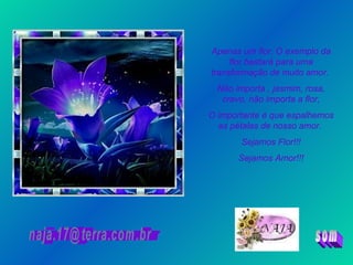Apenas um flor. O exemplo da flor bastará para uma transformação de muito amor.  Não importa , jasmim, rosa, cravo, não importa a flor, O importante é que espalhemos as pétalas de nosso amor.  Sejamos Flor!!! Sejamos Amor!!! [email_address] som 