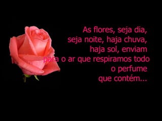 As flores, seja dia,  seja noite, haja chuva,  haja sol, enviam  para o ar que respiramos todo o perfume  que contém...  